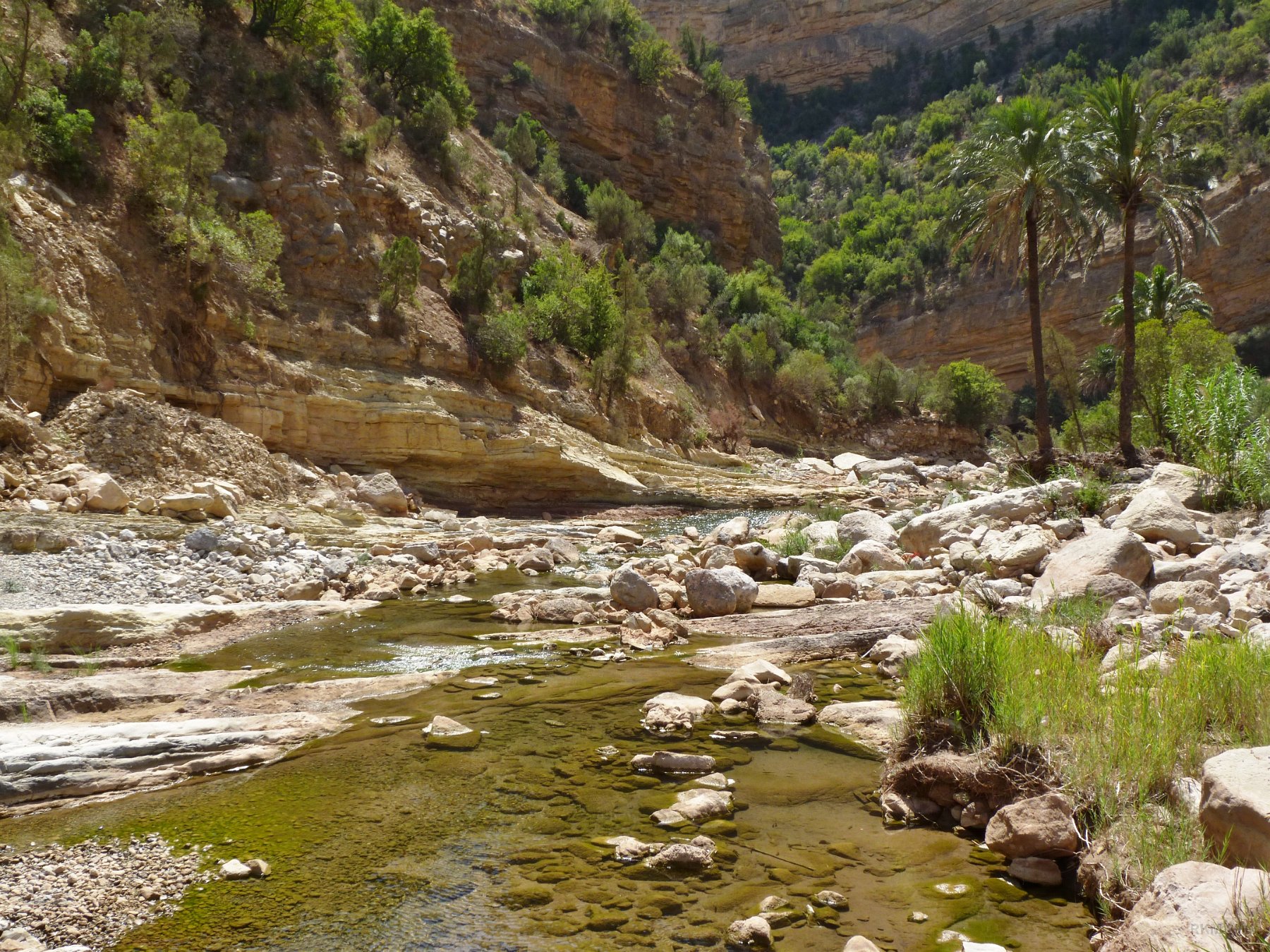 Vallée de Tamraght (Vallée du Paradis), 